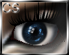 CS- Cobalt Auroa Eyes