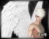 ! Angel Wings HD