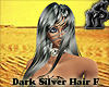 DarkSilver Hair Maerica