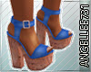 COUNTRY CHARM BLUE SHOES