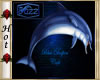~H~Dolphin Jazz Cafe
