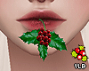 Y- Holidays Mistletoe