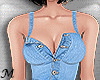 Cinthia denim dress