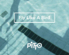 Pitto Fly like bird1-20