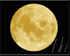 (Nn) Orange Moon 