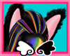 rainbow cat ears
