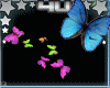 Multi Color Butterflys