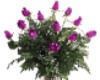 Purple Roses in Vase