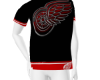 DetroitRedWings