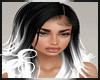 GARIMA BLACK & WHITE ℰ