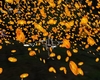 [JD] Pumpkin Confetti
