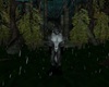 Raining Forest V1