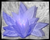 Purple Lotus Light Flash