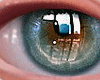 Bell Eyes