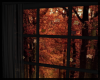 Window Autumn ~
