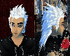 Axel's White Hair{K.O.H}