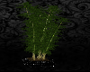 Plants [K]