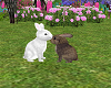 Animated easter bunnies