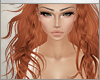 F| Exhilsa Ginger