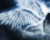 Seraphim Wings M