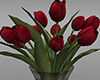 Romantic Red Tulips