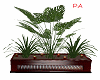 Plant with pot