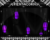 CinqNoyauxBulbs.