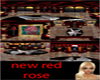 new red rose
