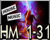 *R P1 House Remix + D
