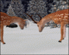 Christmas Reindeer