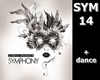 ELECTRO +F/M d SYM 14