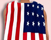 4th July Flag F