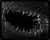 🕸️