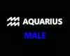 H@K Aquarius Zodiac