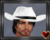 Ⓣ White Cowboy Hat
