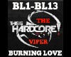 HardCore Burning Love