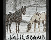 Horses falling snow
