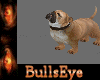 [bu]Bull Dog