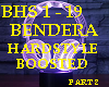 BENDERA HARDSTYLE - P2