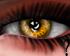MS - Amber Eye