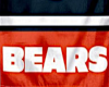 ! Bears Banner
