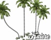 Palm Tree v2