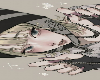 Cutout 41