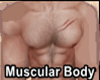 ✗ Muscular Body ✗