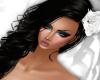 Jessica black wht rose