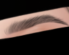 S| #8 brows blk