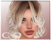 Lollita - Blended