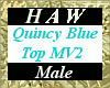 Quincy Blue Top MV2