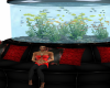 red fishtank sofa