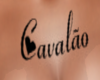 Tatto  Cavalão